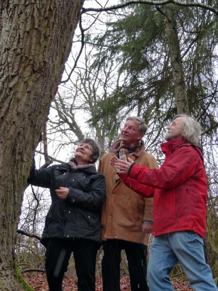 Allingas Vorsitzende Irmfried Nester, Allings erster Bürgermeister Frederik Röder und Eichenauer Bildhauer Hans Ullmann begutachten die ausgewählte Eiche.