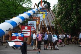 Mit purer Muskelkraft wurde der neue Maibaum in Fürstenfeldbruck aufgerichtet.