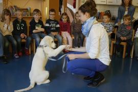 Durch den Besuch der Hundeschule Rosa Huber konnten die Kindergartenkinder wieder Vertrauen zu fremden Hunden fassen. Dieses war nach einem Beißvorfall bei einem Ausflug verloren gegangen.